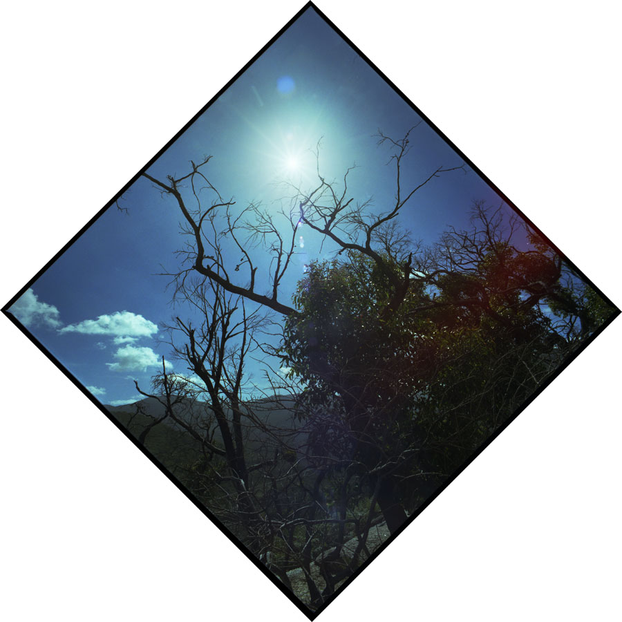 Summer Solstice Journey VII - Wilsons Promontory, Victoria, Australia - Lloyd Godman