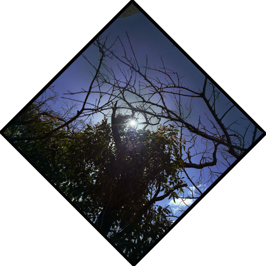 Summer Solstice Journey VII - Wilsons Promontory, Victoria, Australia - Lloyd Godman