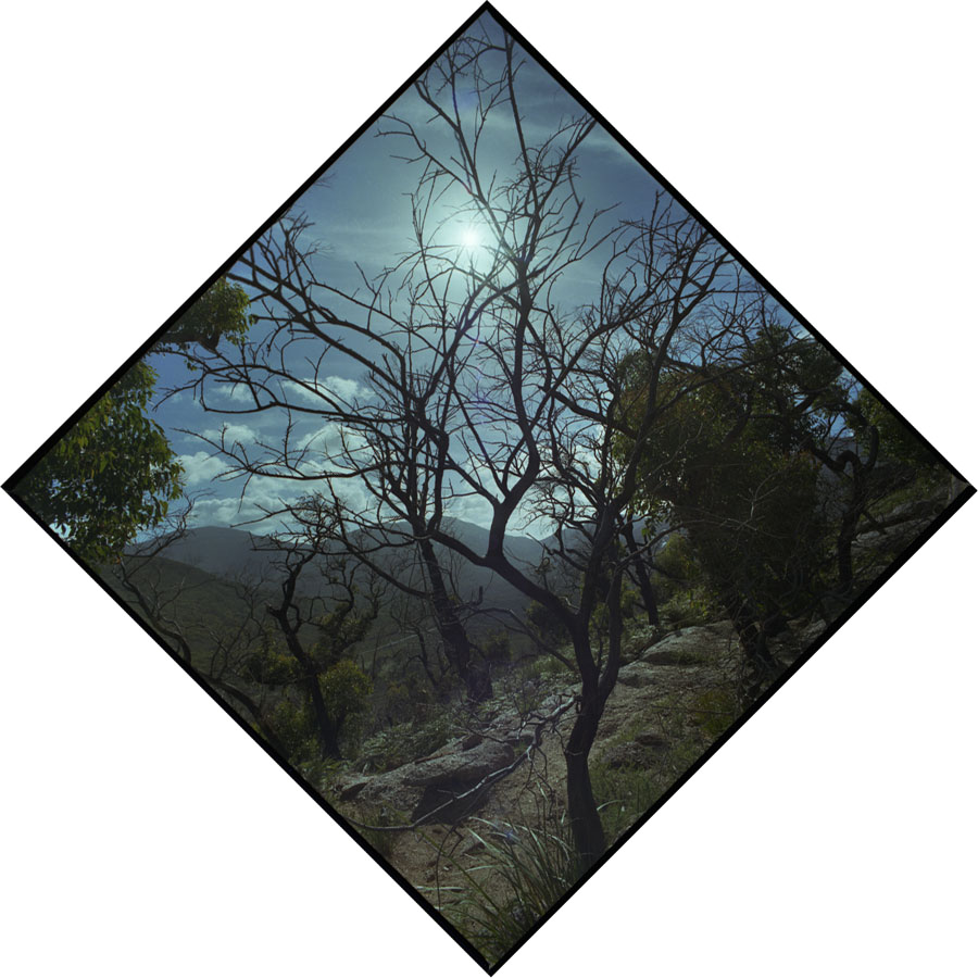 Summer Solstice Journey VII - Wilsons Promontory, Victoria, Australia - Lloyd Godman